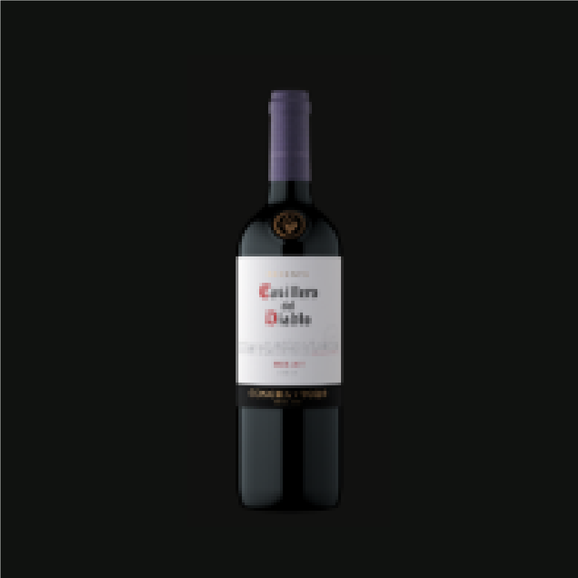 Cassilero del diablo Merlot