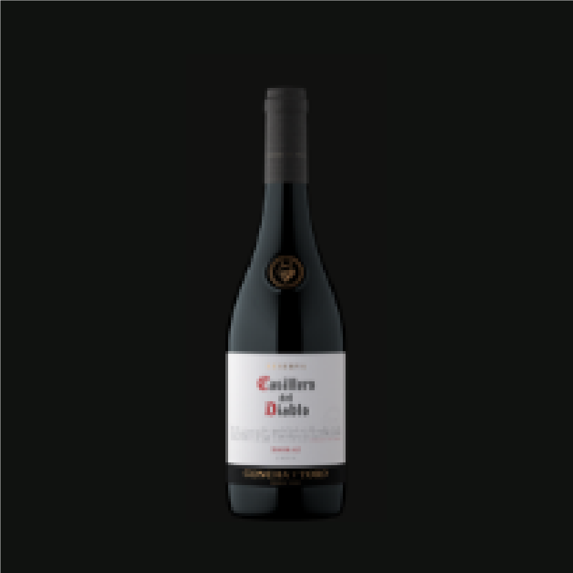 Cassilero del diablo Shiraz